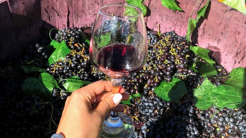areni village wine factory (1)