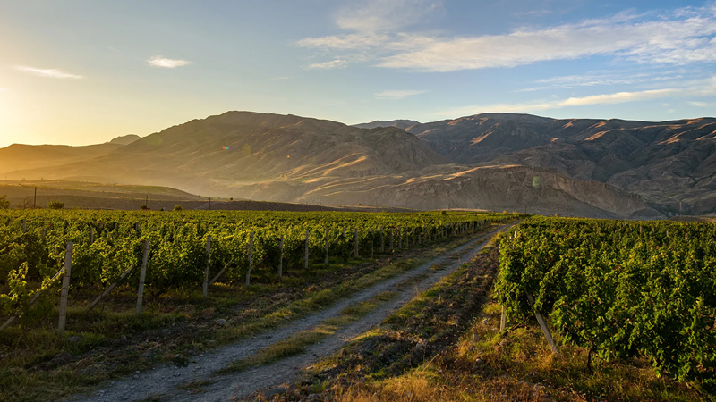 areni village wine factory (1)